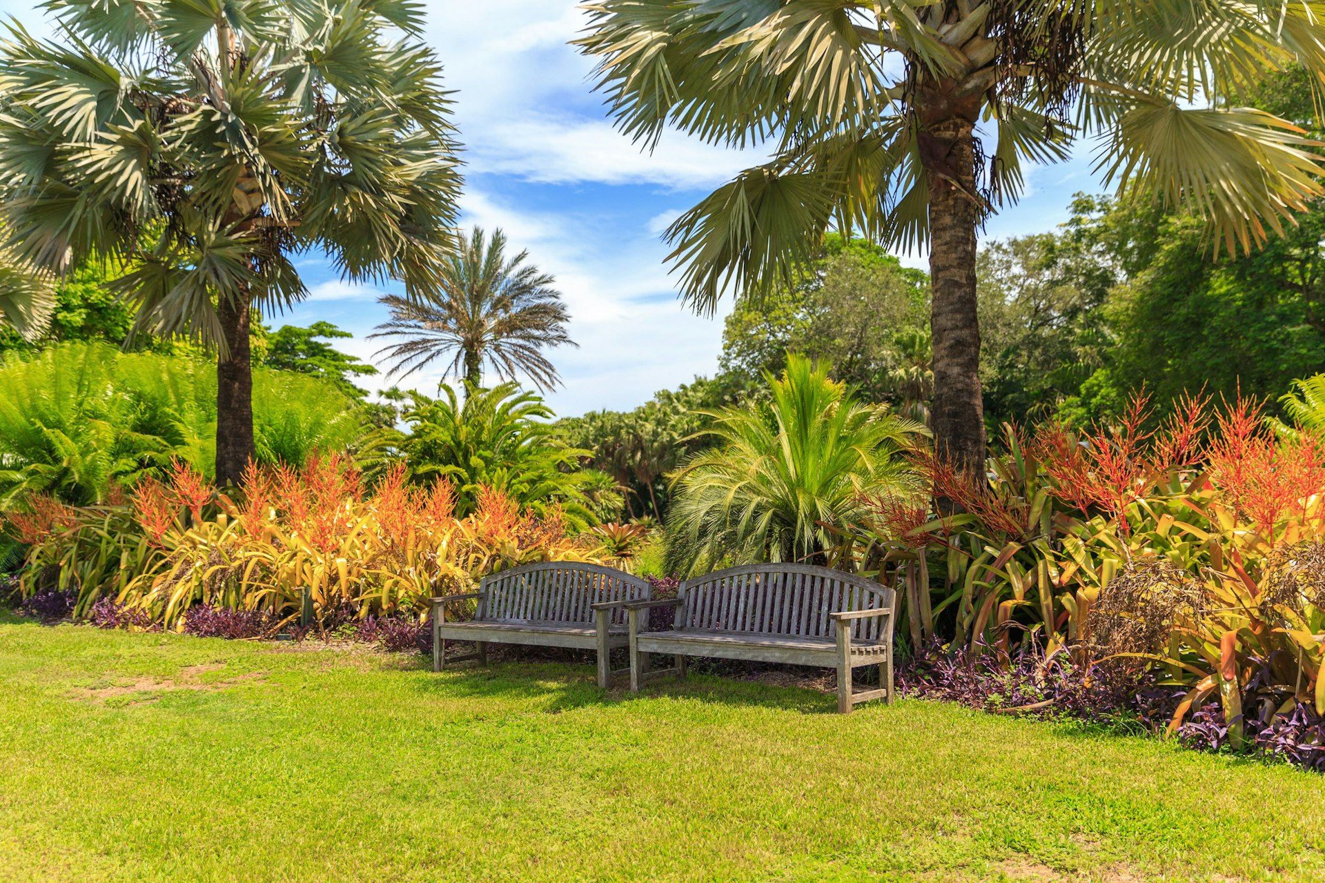 Fairchild tropical botanic garden in Miami, Florida