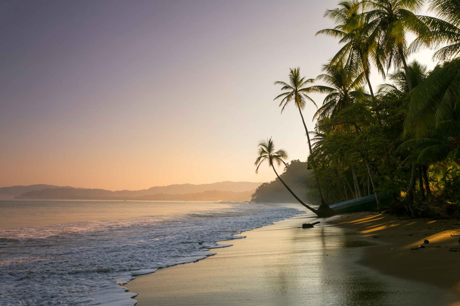 Sunset on palm fringed beach at Drake Bay, Costa Rica