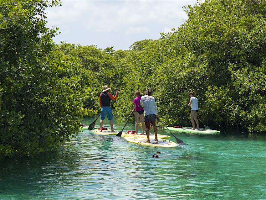 2015年4月25日：一个团体的人桨在墨西哥cenote的水域中登机。