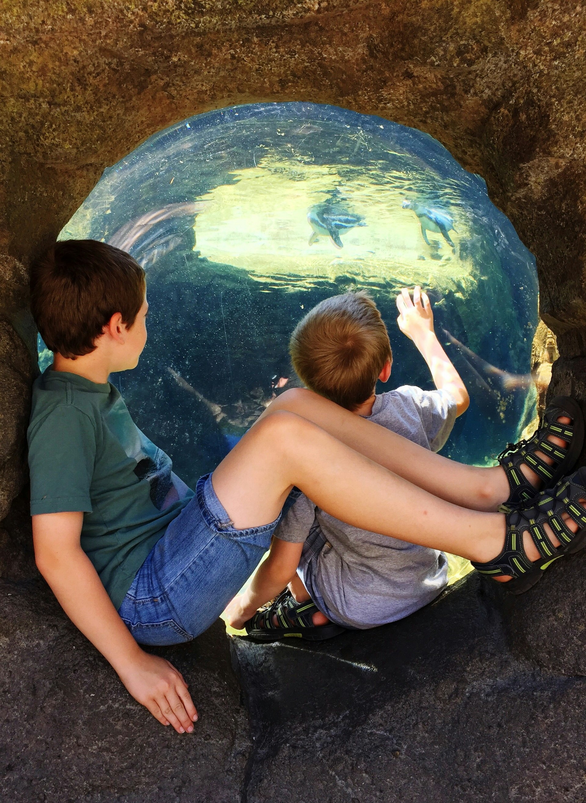 Boys sitting in Seattle Aquarium
