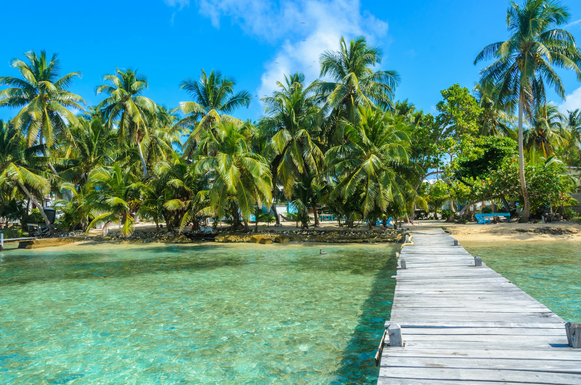 A wooden boardwalk across shallow blue-green water leading towards a palm-fringed beach at Tobacco Caye, Belize