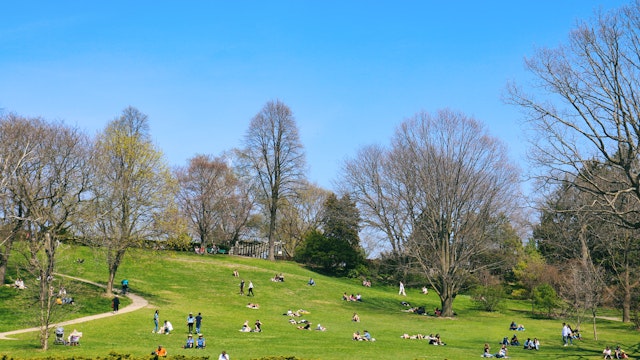 Spring is such a gorgeous time of year to visit the amazing High Park of Toronto. Many people do enjoy warm sun on the hill and celebrate spring in the park.