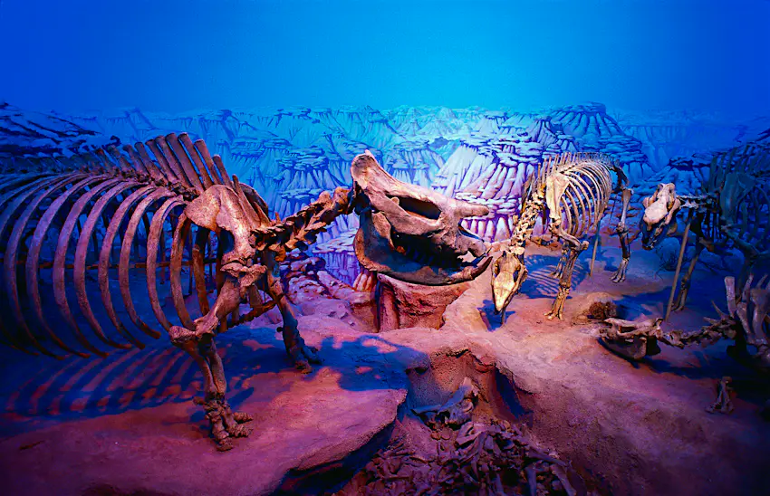 LPI-117-301.jpg Dinosaur Exhibits at the Royal Ontario Museum in Toronto