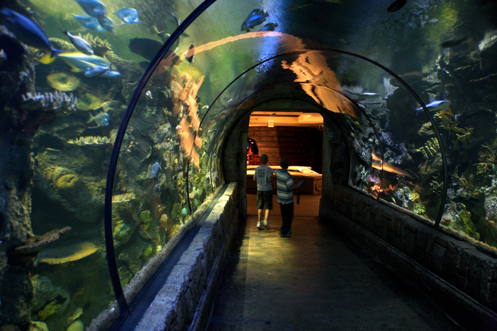 Shark Reef Aquarium Visitors look at fish in a glass tunnel at Shark Reef Aquarium in Mandalay Bay, Las Vegas.