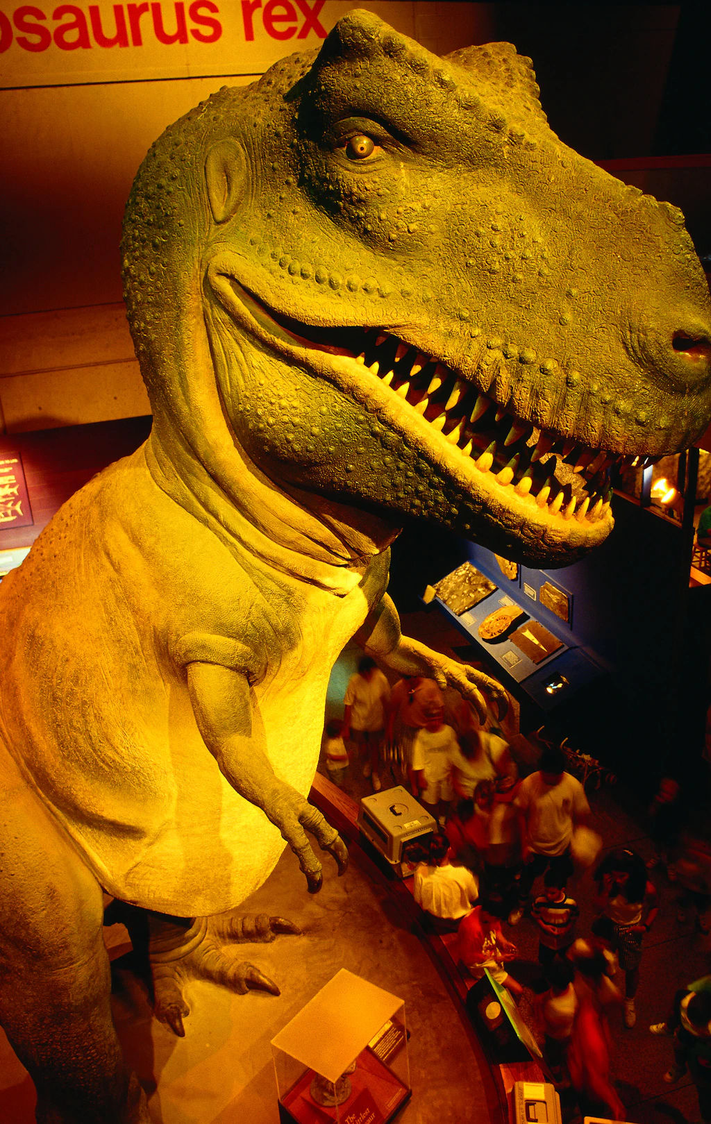 A huge dinosaur model towers over people in a gallery