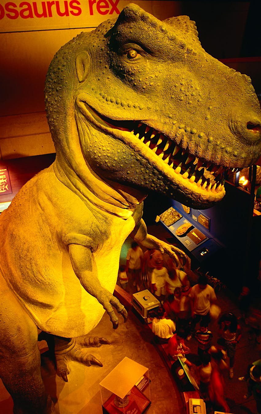 Tyrannosaurus Rex exhibit A huge dinosaur model towers over people in a gallery