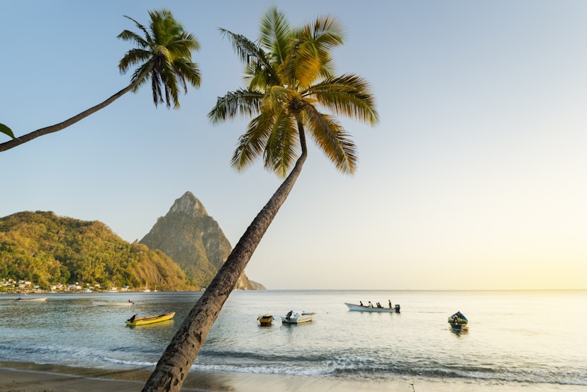 Palm trees on beach with view of Gros Piton in distance.
