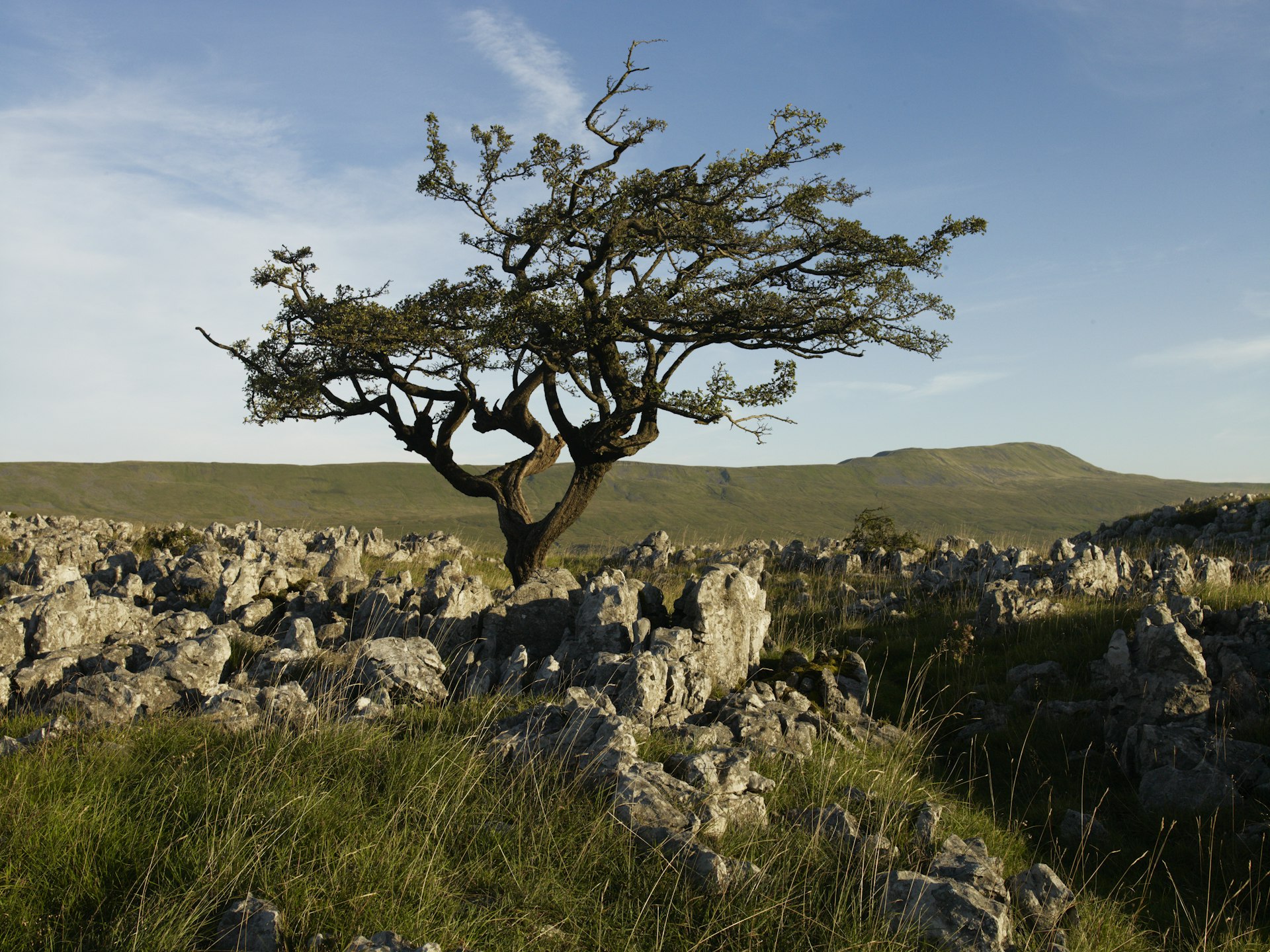 View across the Yorkshire Dales