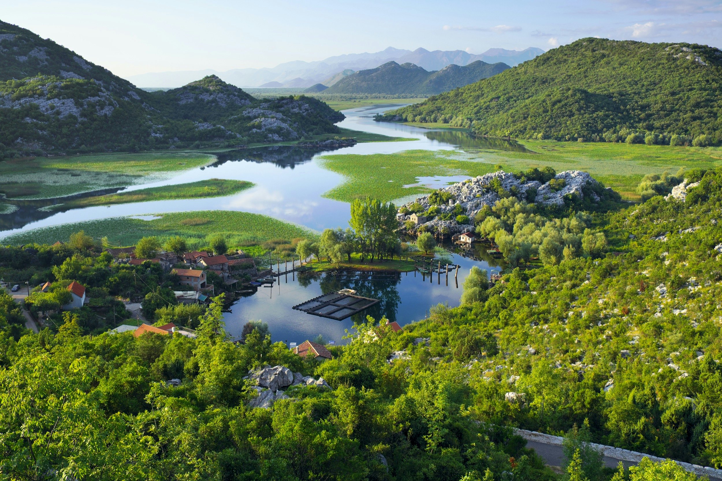 Montenegro_Lake_Skadar.jpg