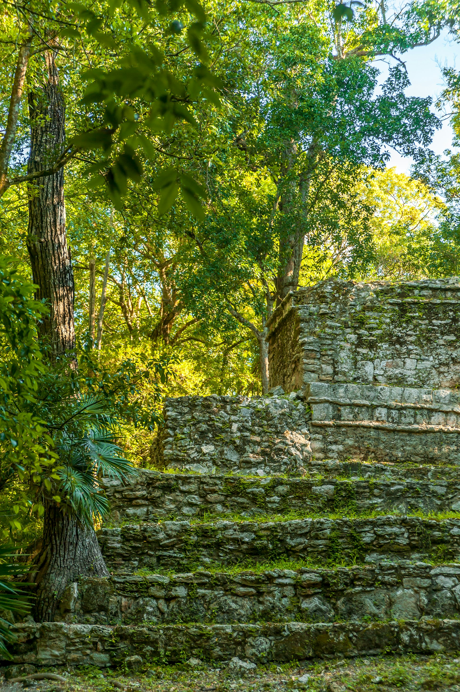 Ruins of Muyil (also known as ChunyaxchÃ©), in the middle of a lush tropical forest