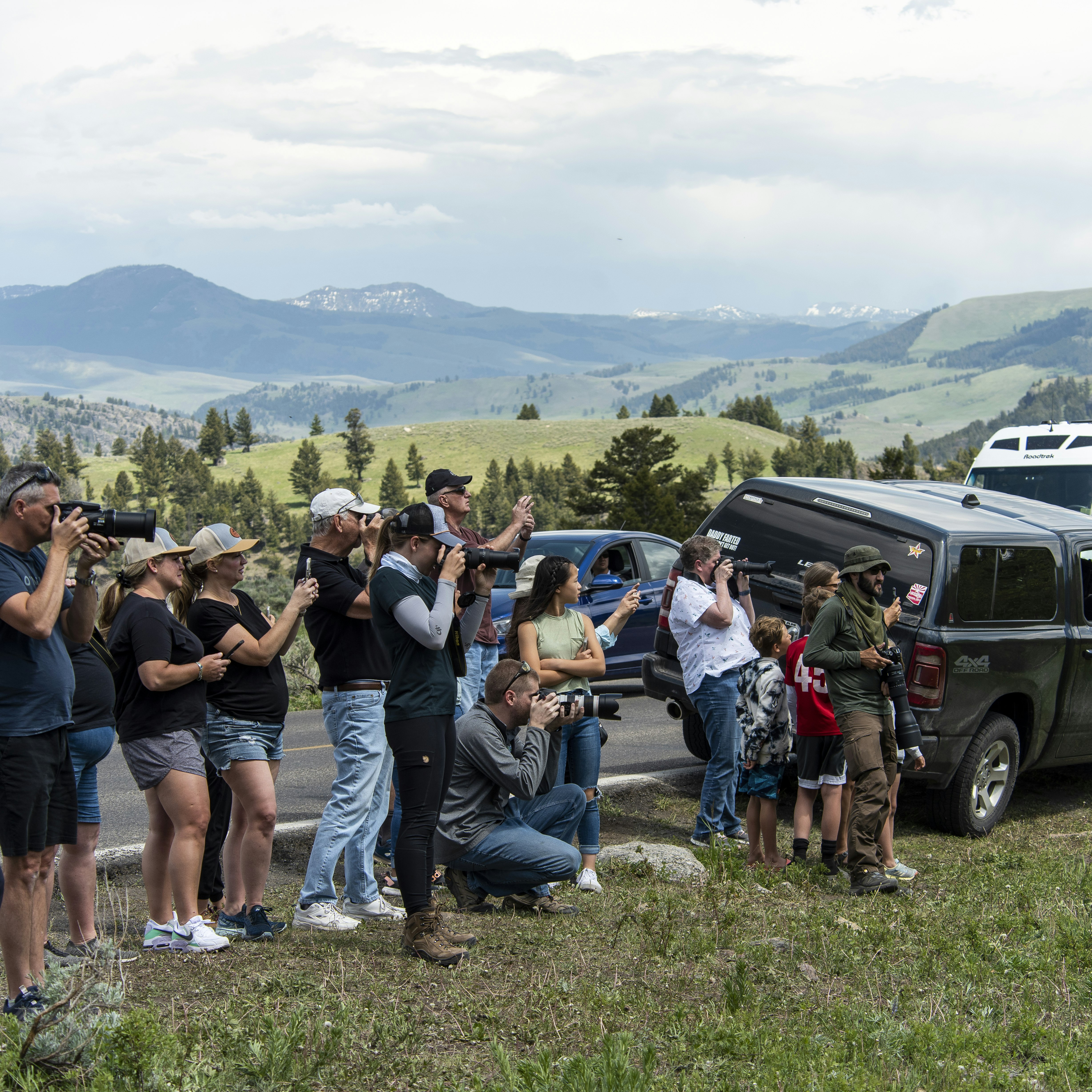 YELLOWSTONE NATIONAL PARK,WY - JUNE 08: Visitors watch black bears in Yellowstone National Park on June 8,2021. Yellowstone is seeing a record number of visitors since all entrances were open for the 2021 tourist season.  (Photo by William Campbell/Getty Images)
