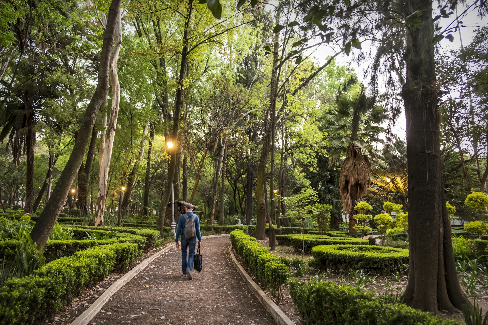 Man walking through Parque Mexico in Condessa Neighborhood
