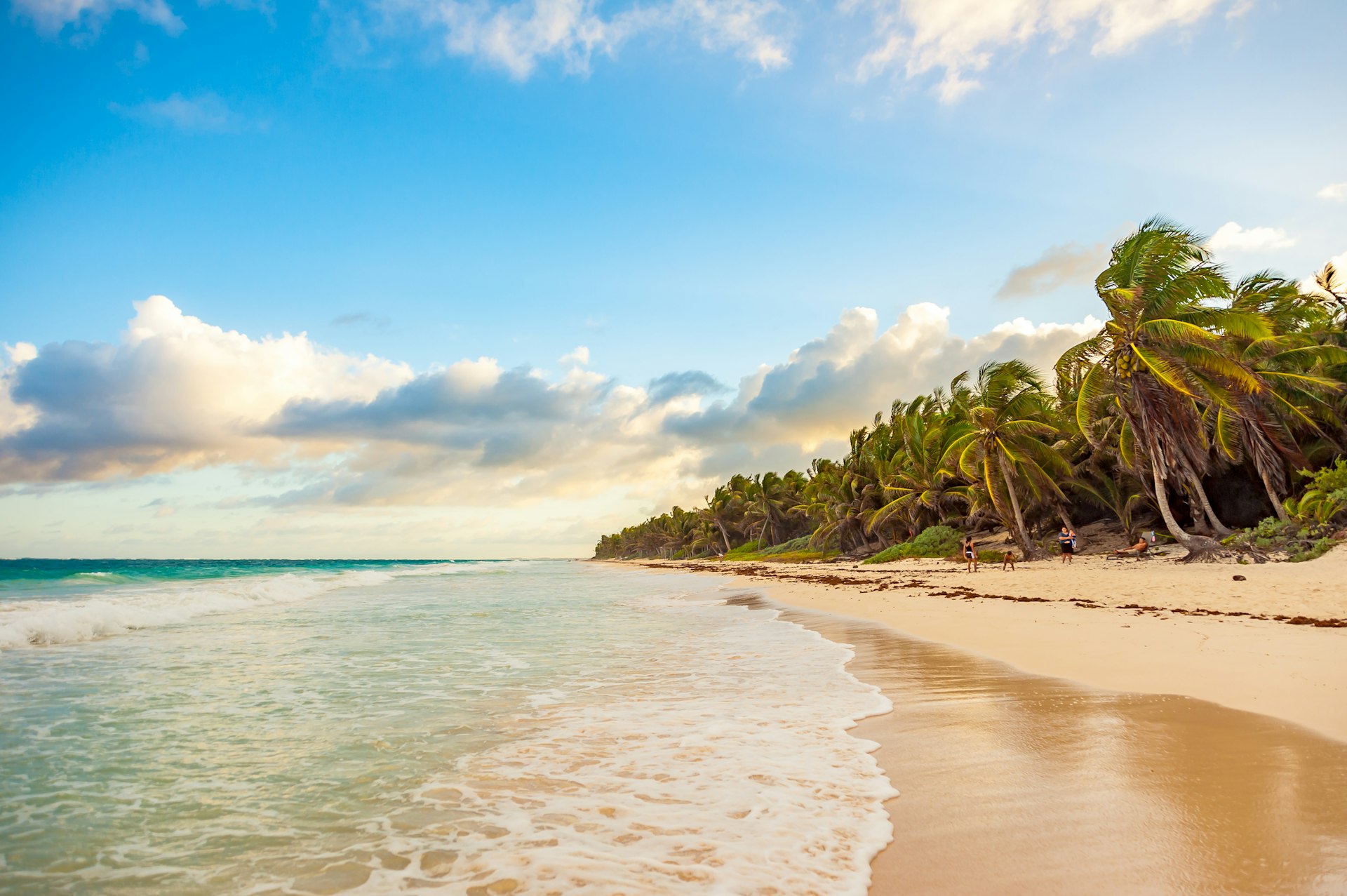 People enjoying the sunset over a beach in Tulum with palm trees and waves, against a sunny clear blue sky with white clouds