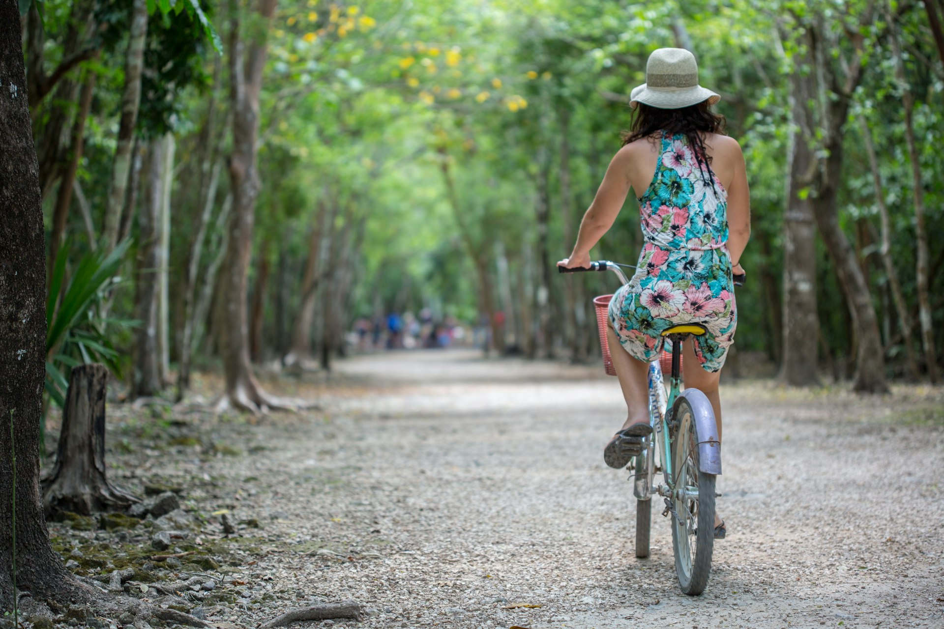 A woman rides a bike down a tree-lined path