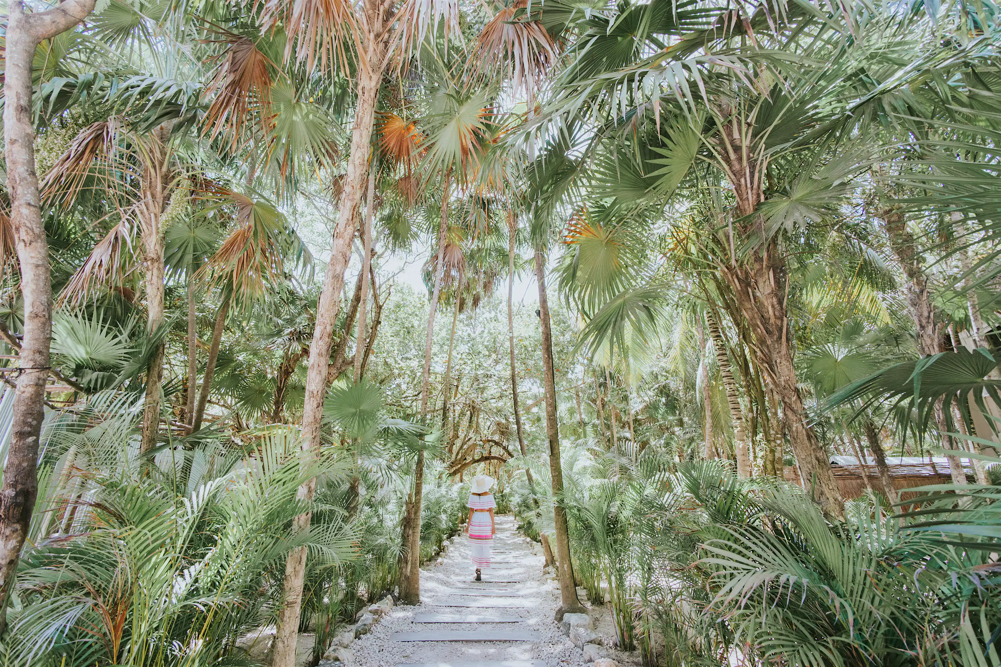 Can't-miss Tulum experiences that cost next to nothing - Lonely Planet