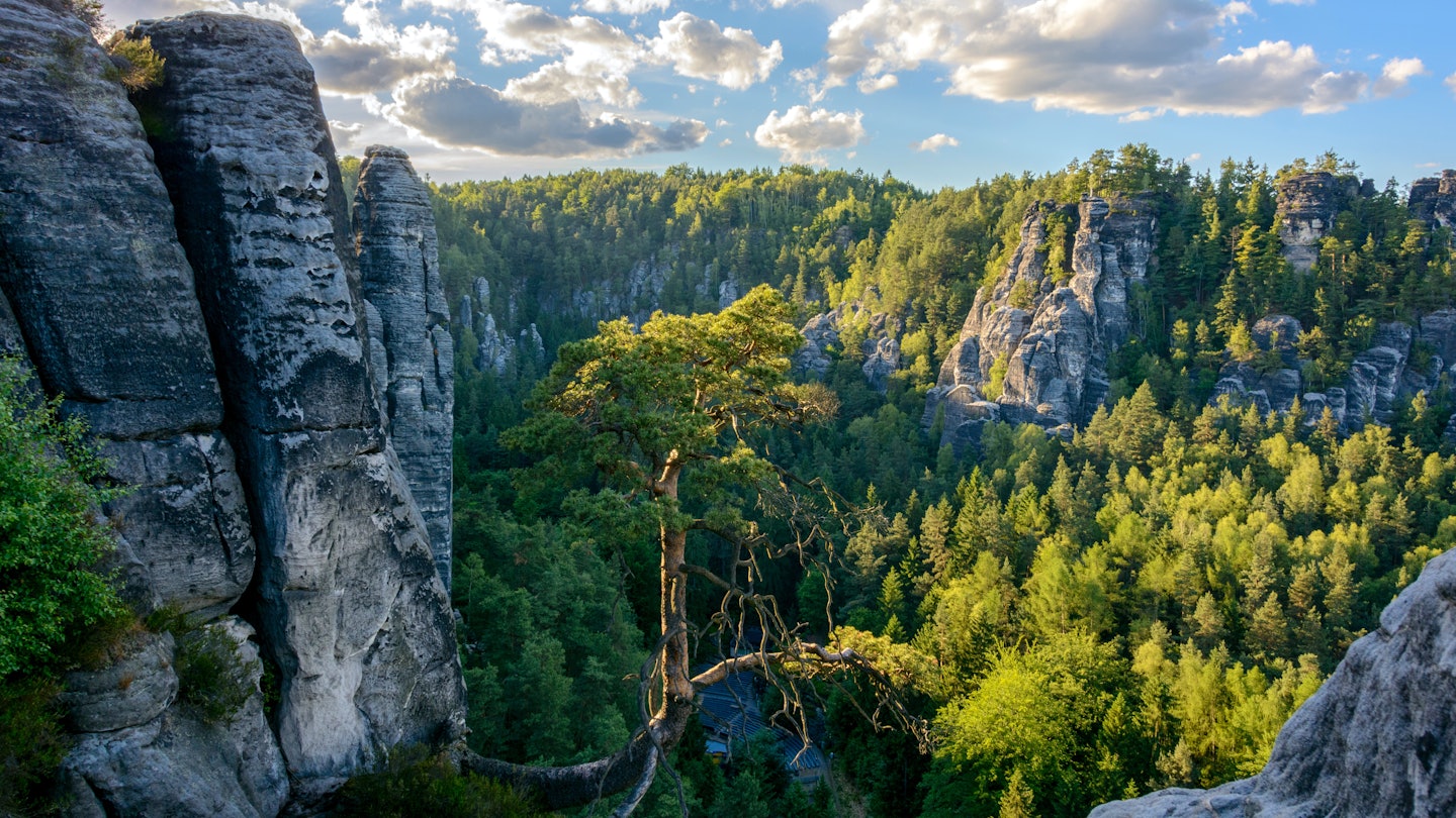 Best national parks in Germany - Lonely Planet