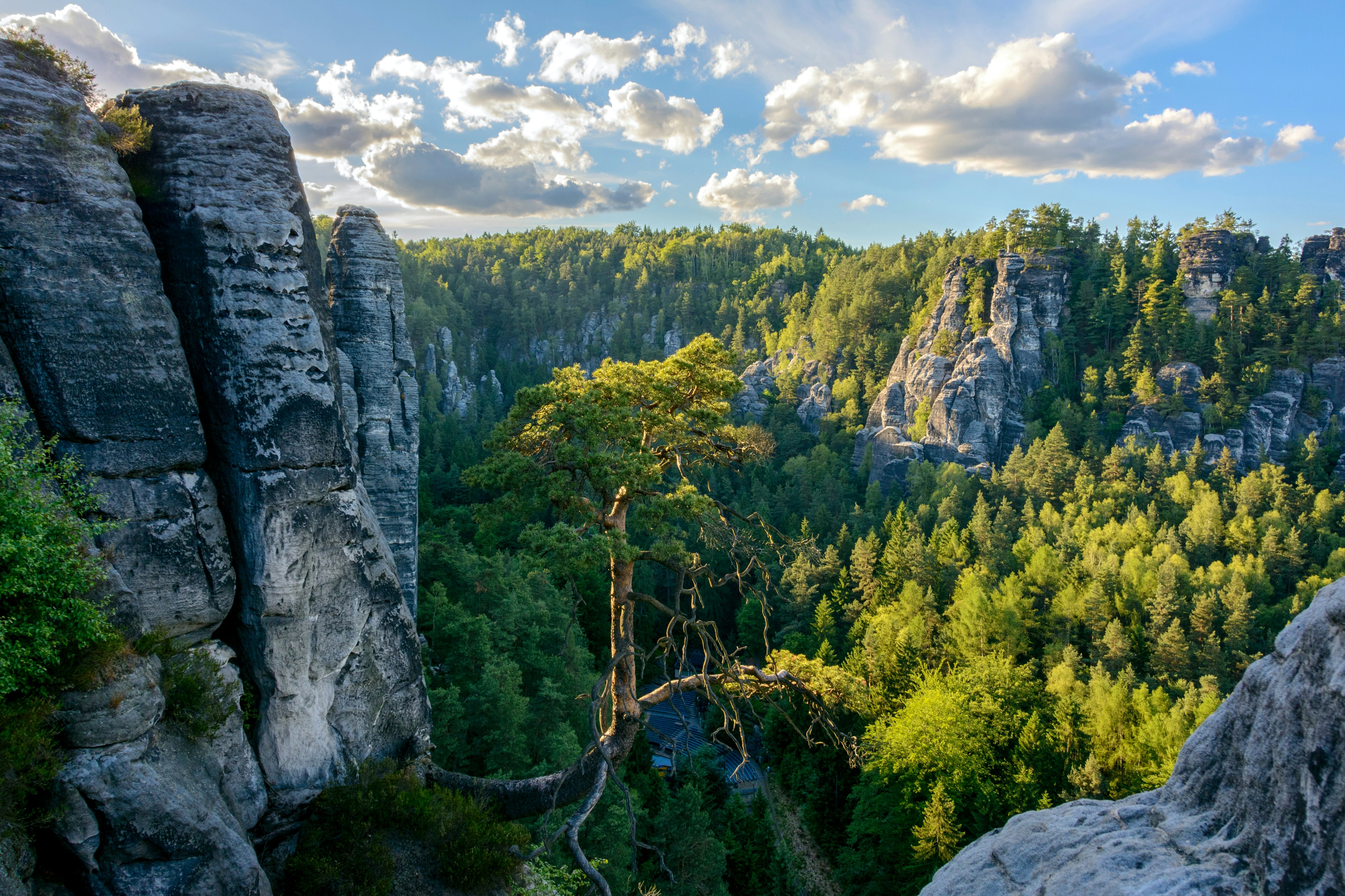 Saxon Switzerland National Park landscape.