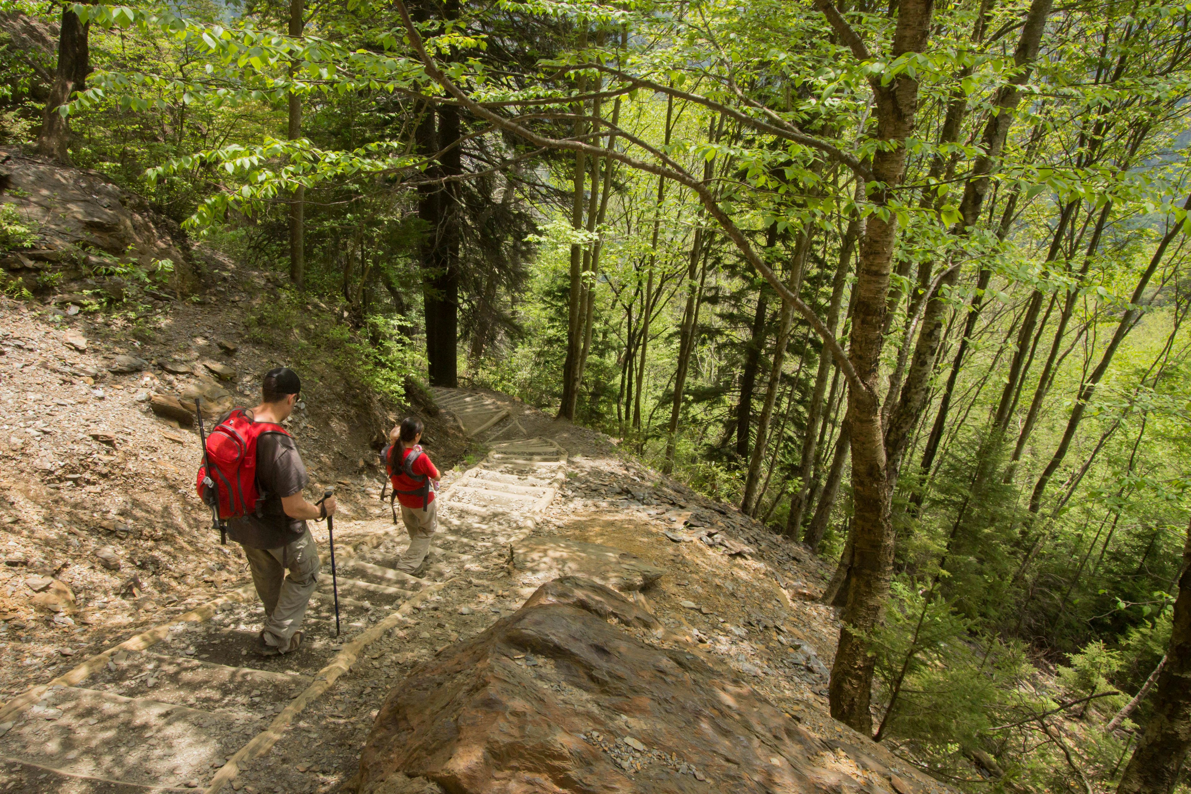 Two hikers descend stairs on a steep section of the Alum Cave Trail in Great Smoky Mountains National Park