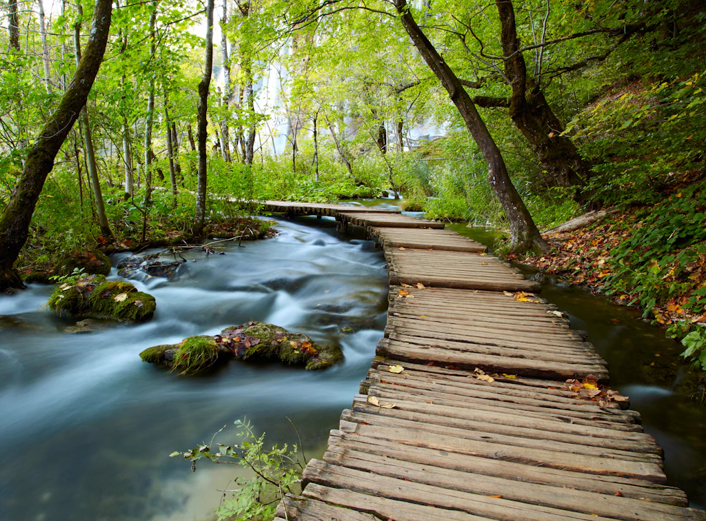 Boardwalk, Plitvice Lakes National Park A boardwalk passes by a flowing stream in a wooded area