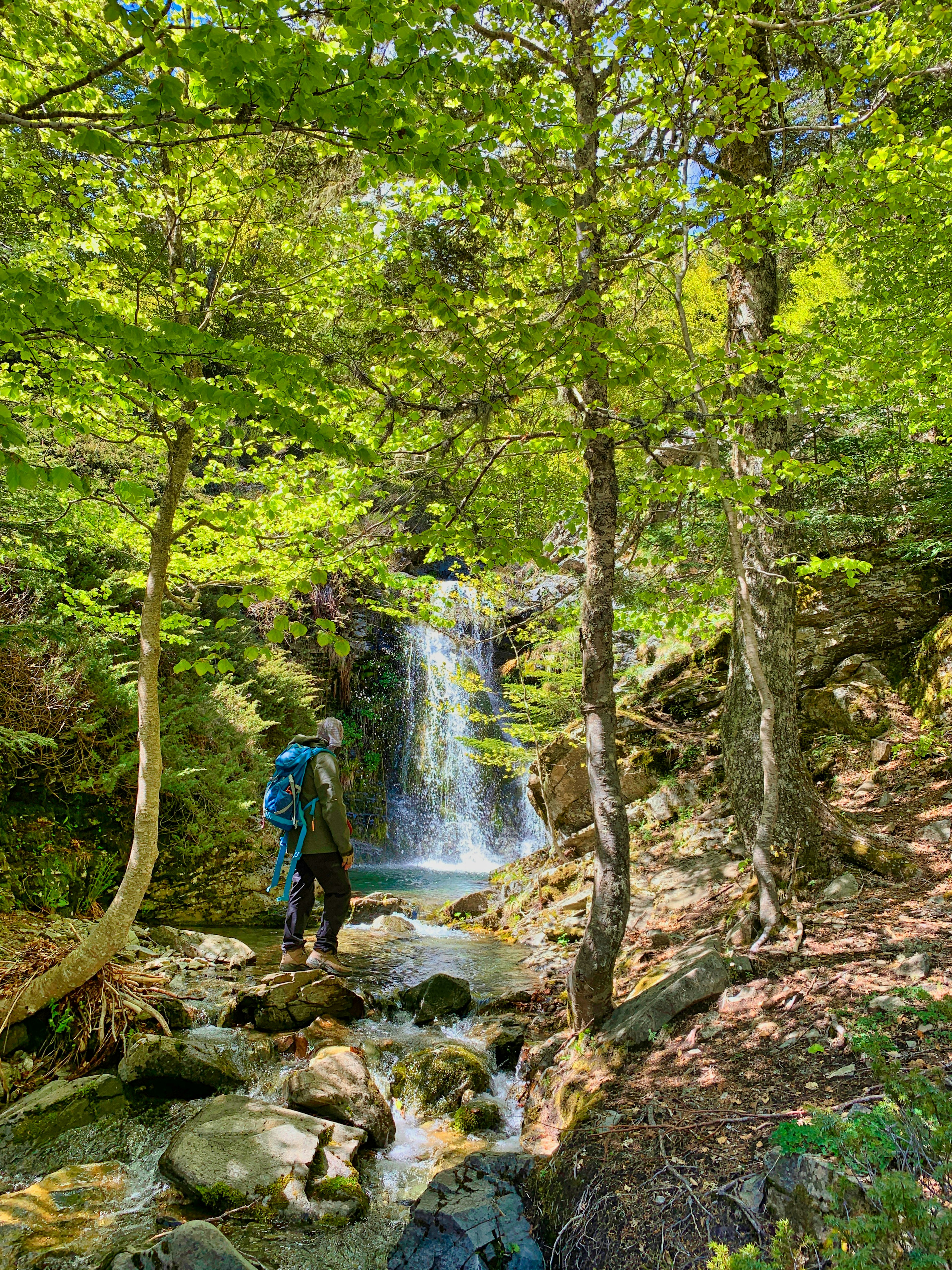 A hiker stands in an area of shaded woodland in the Aspromonte National Park, Italy. In the background, a waterfall is visible.