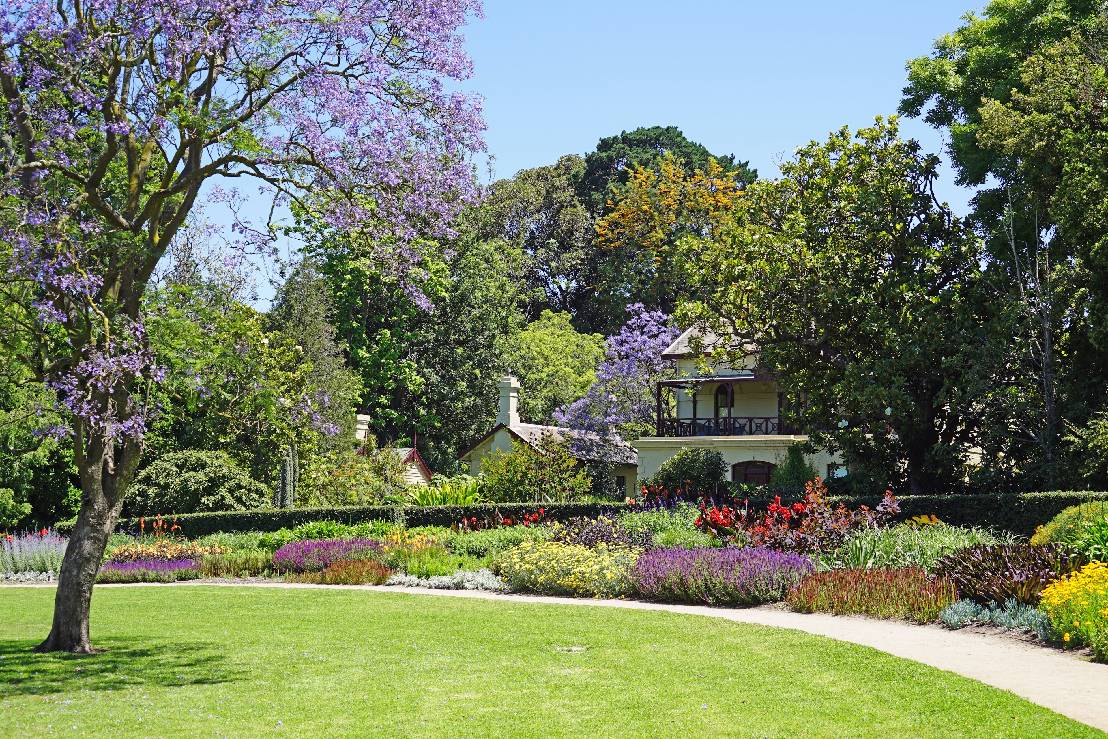 A view of a section of the Royal Botanic Gardens in Melbourne. A patch of green lawn is visible, beyond it are a number of colourful bushes and trees of various shapes and sizes.