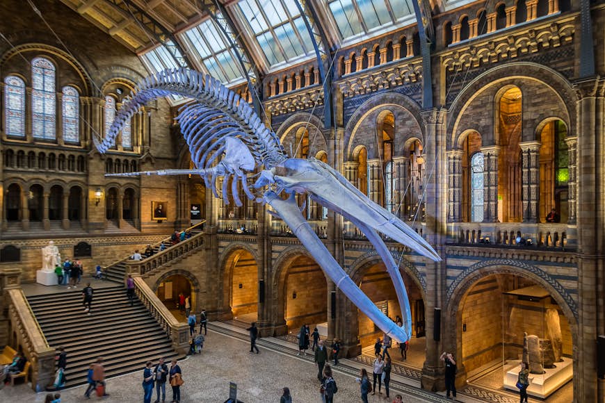 A blue whale skeleton is suspended from the ceiling in a massive indoor hall