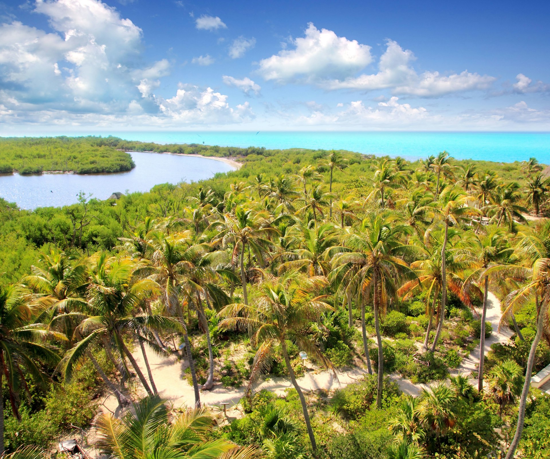 Aerial shot of a tropical palm-covered island with a few sandy paths running through it