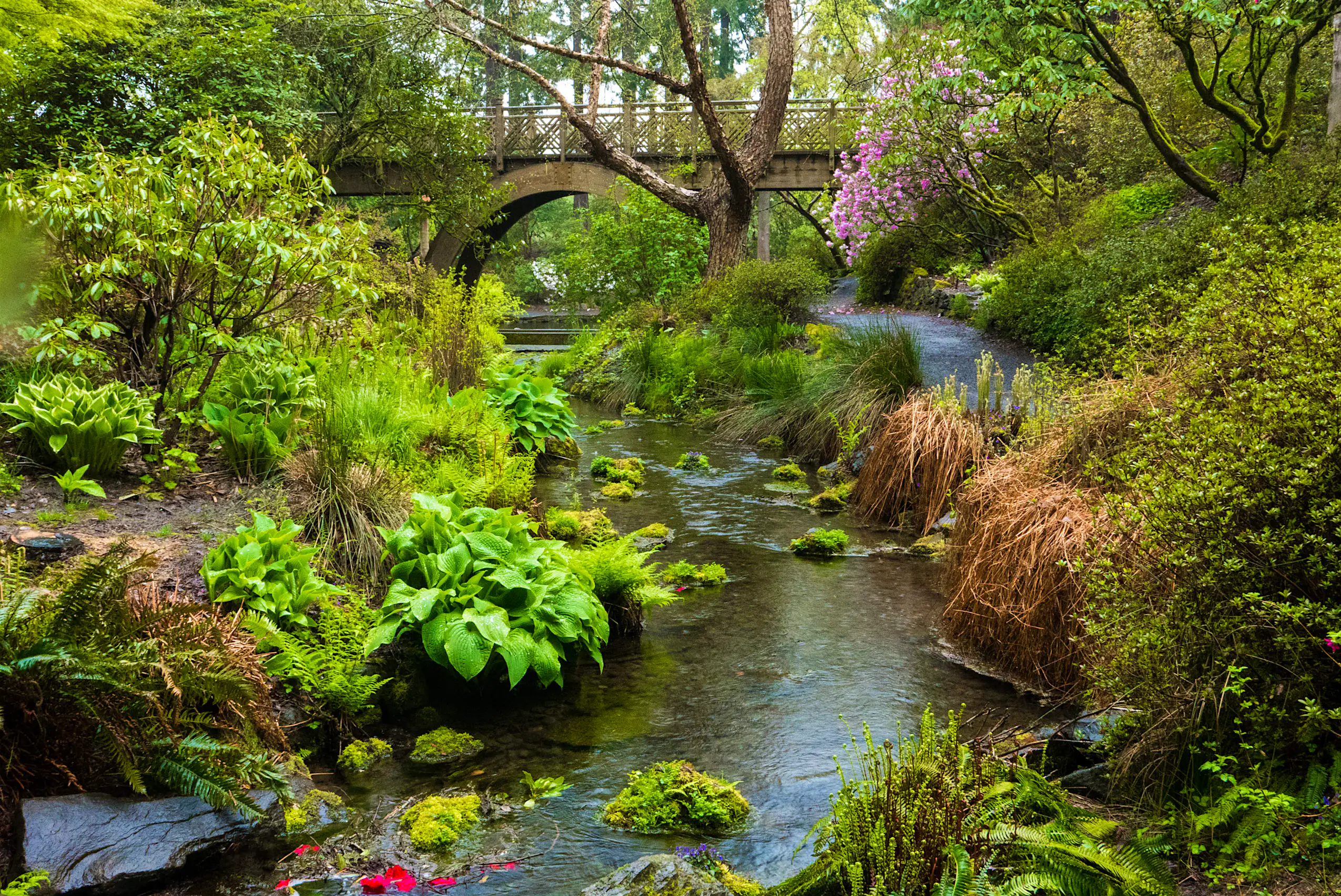 Top 10 parks in Portland, Oregon - Lonely Planet