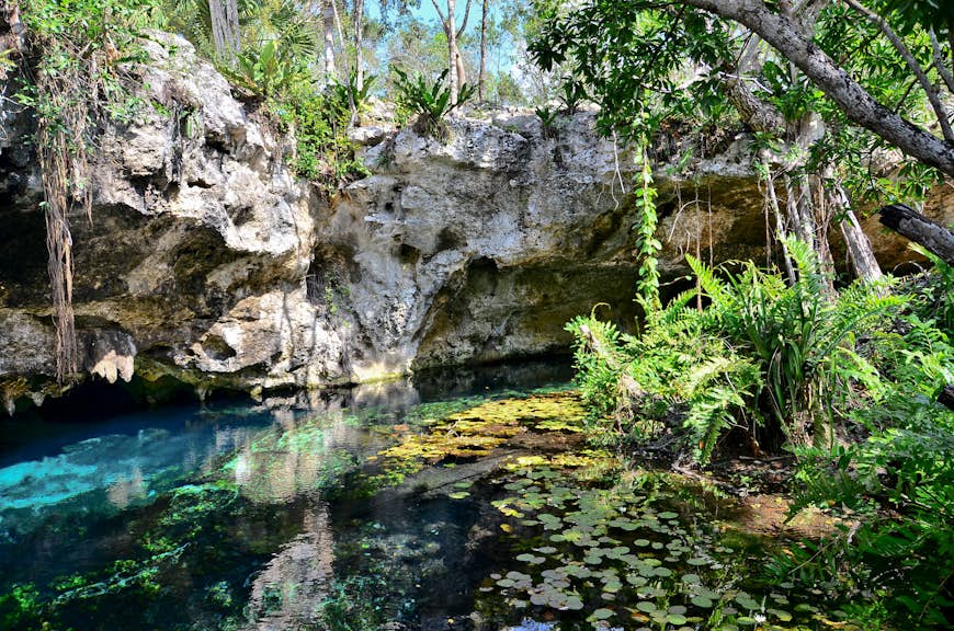 Blue water and green plant life around Gran Cenote, Tulum
