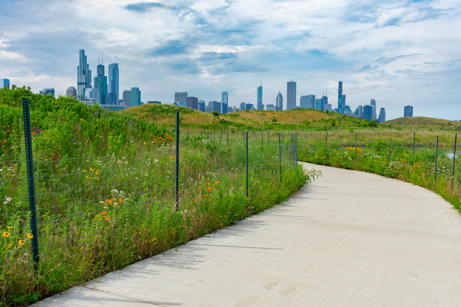 Path with native plants and the skyline at Northerly Island in Chicago