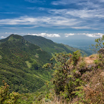 View from World's End within the Horton Plains National Park in Sri Lanka.
