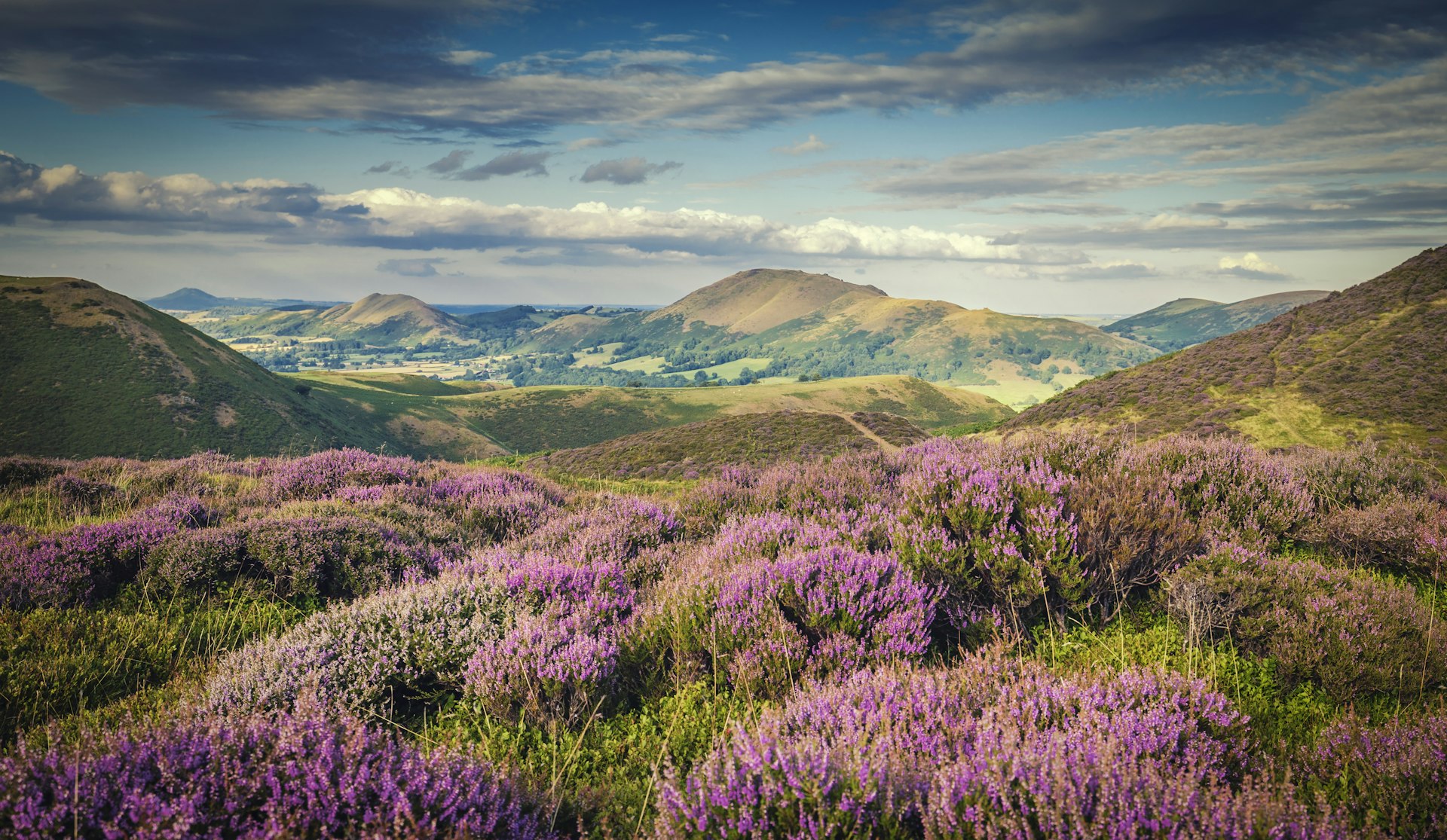 View over the Long Mynd in Shropshire