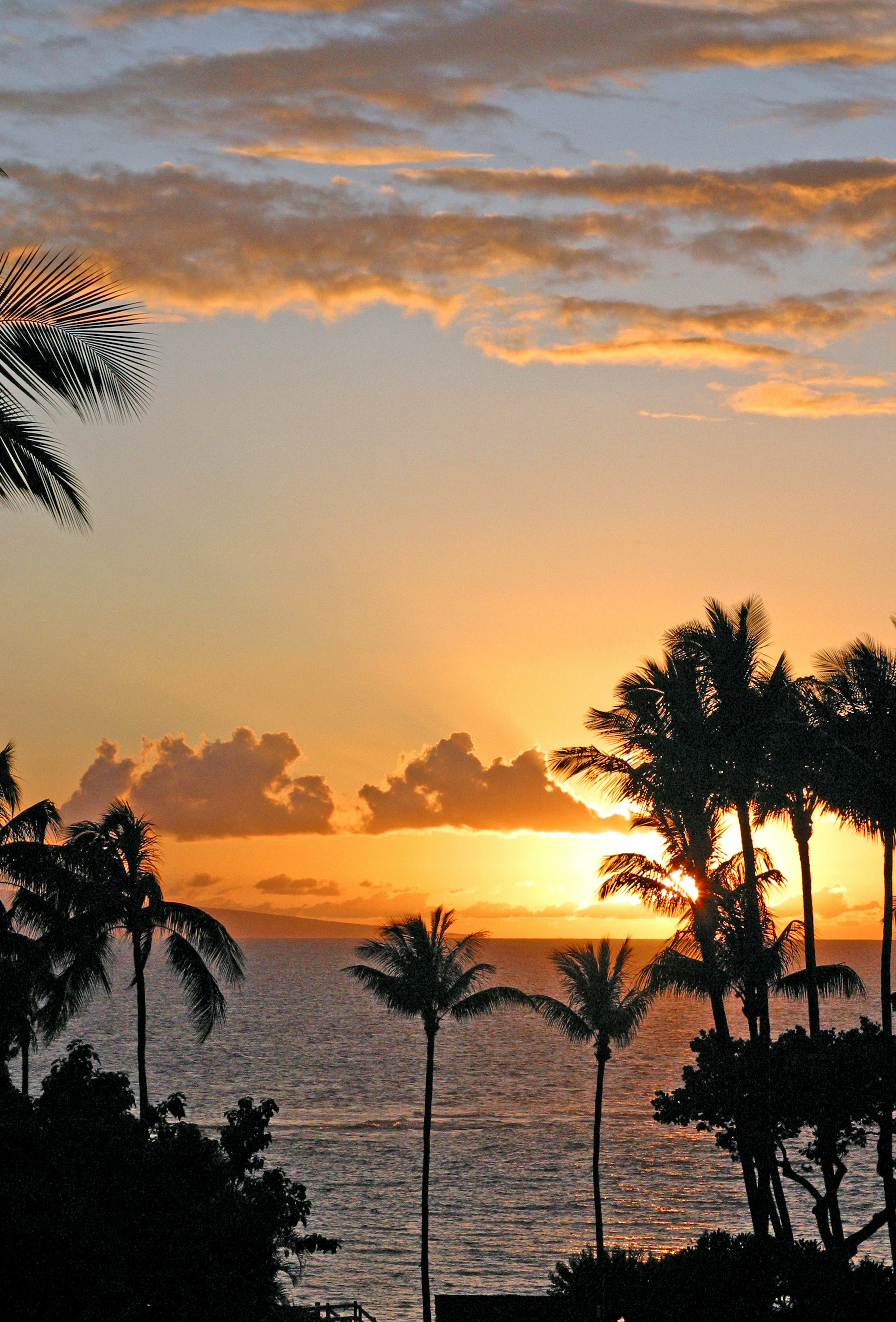 Maui sunset