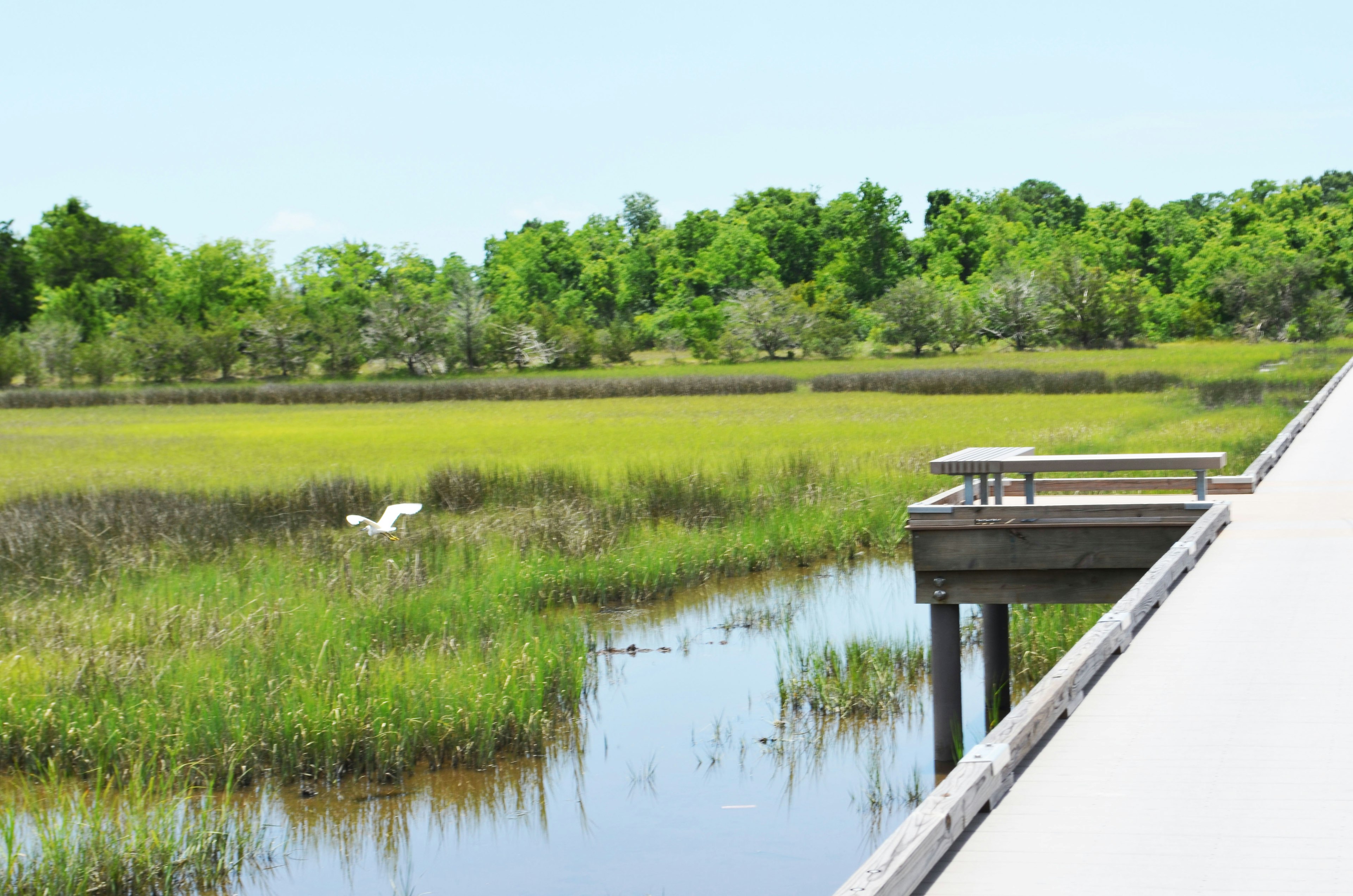 Stono River County Park