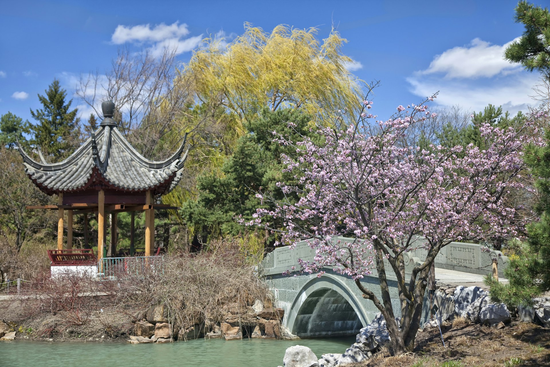 A Japanese-style pagoda surrounded by blossom trees with pink blooms