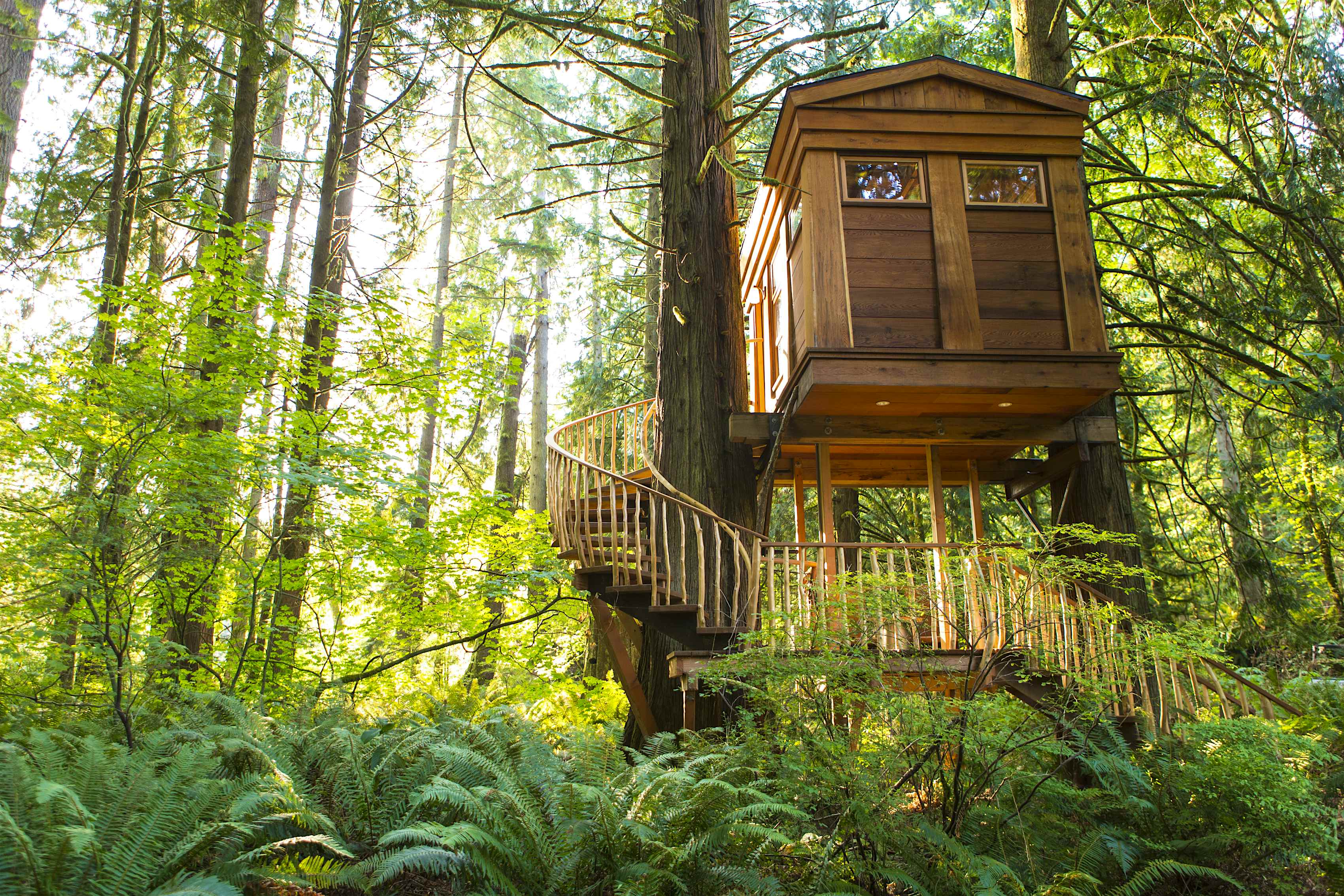 13 Best Tree House Vacation Rentals In The USA Lonely Planet 13-best-tree-house-vacation-rentals-in-the-usa-lonely-planet