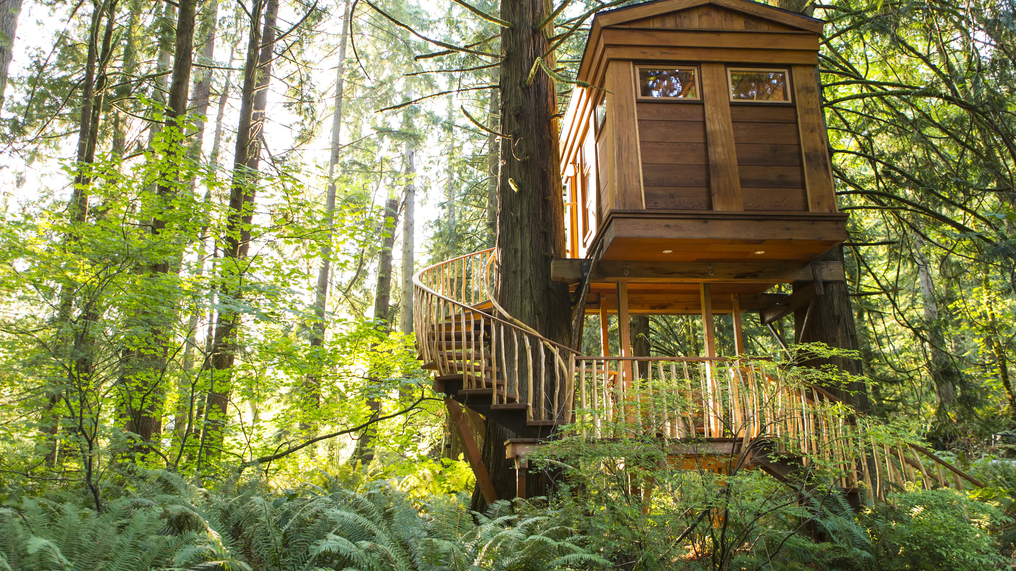 Best tree house vacation rentals in the USA - Lonely Planet