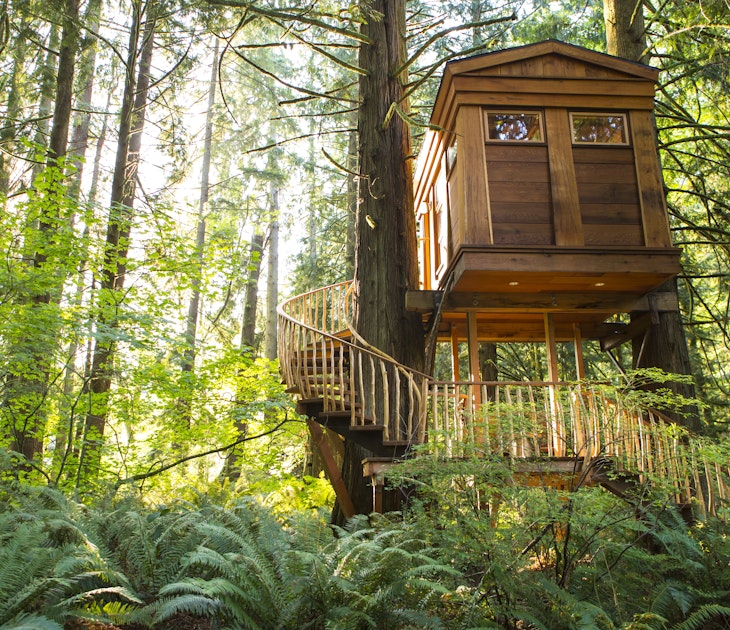 Remote tree house in forest