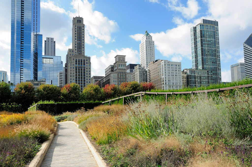 A pathway through a garden with a city skyline rising above it