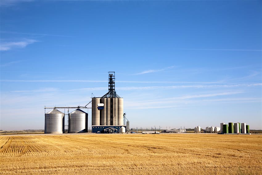 A grain elevator and bin stand amongst the golden wheat of a field in the Canadian Prairies, Saskatchewan.
