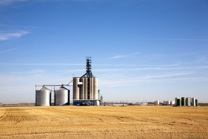 A grain elevator and bin stand amongst the golden wheat of a field in the Canadian Prairies, Saskatchewan.