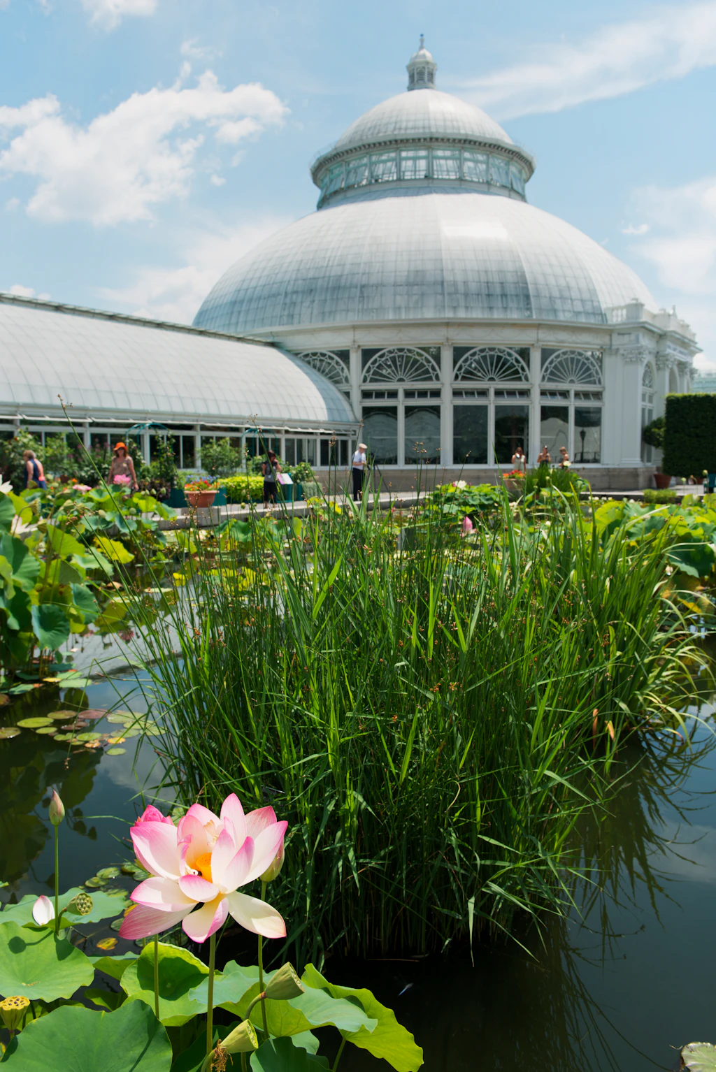 The Conservatory at the New York City Botanical Garden 