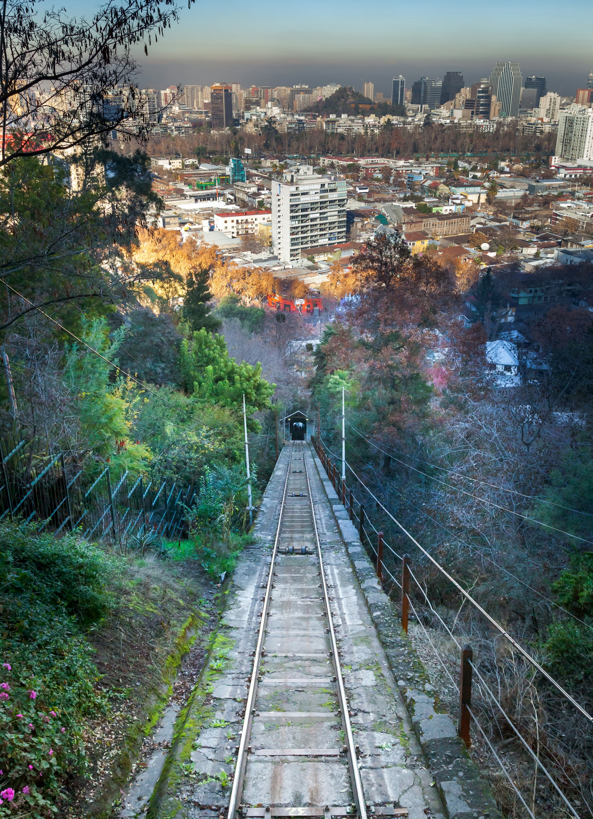 A tram line cuts down through the woods at the top of San Cristobal hill in Santiago, Chile, which spreads out in the background.