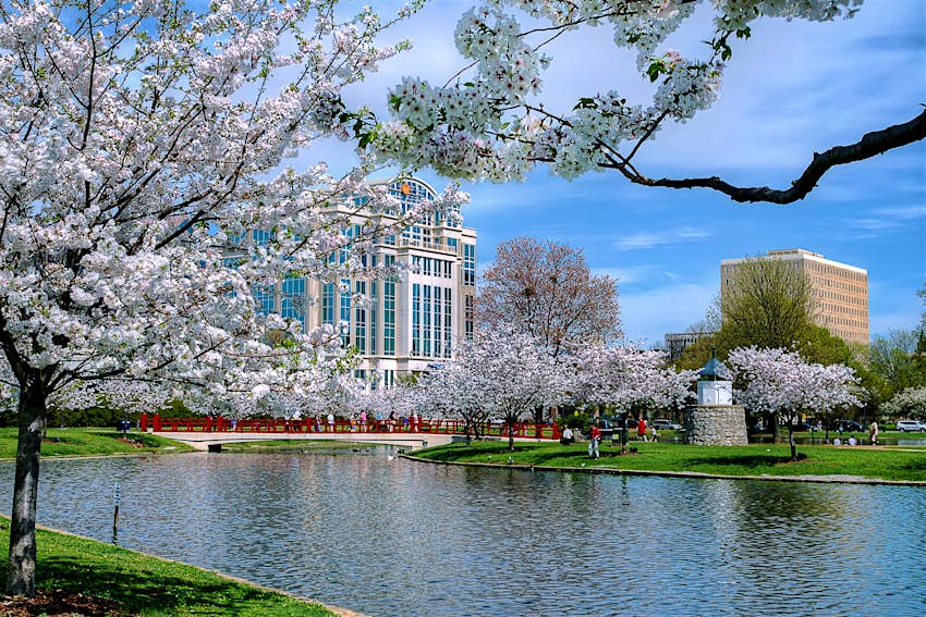 City Park During Spring