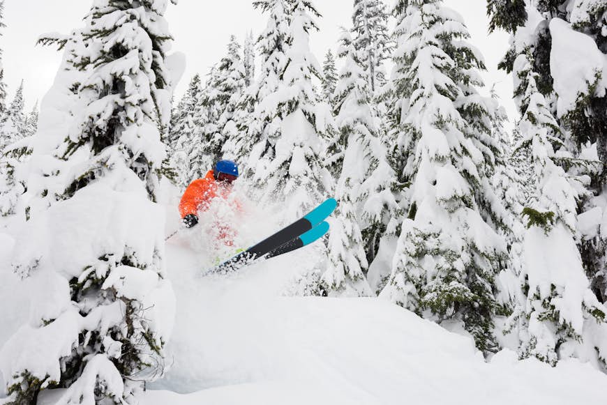 A ski emerges in a plume of white snow between the snow-covered evergreen trees at Whistler ski resort in Canada.