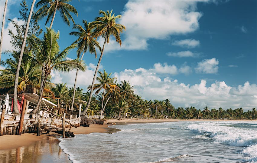 As areias cremosas da praia de Taipu de Fora em Marao, Brasil, com uma palmeira verde inclinada para o mar azul claro.