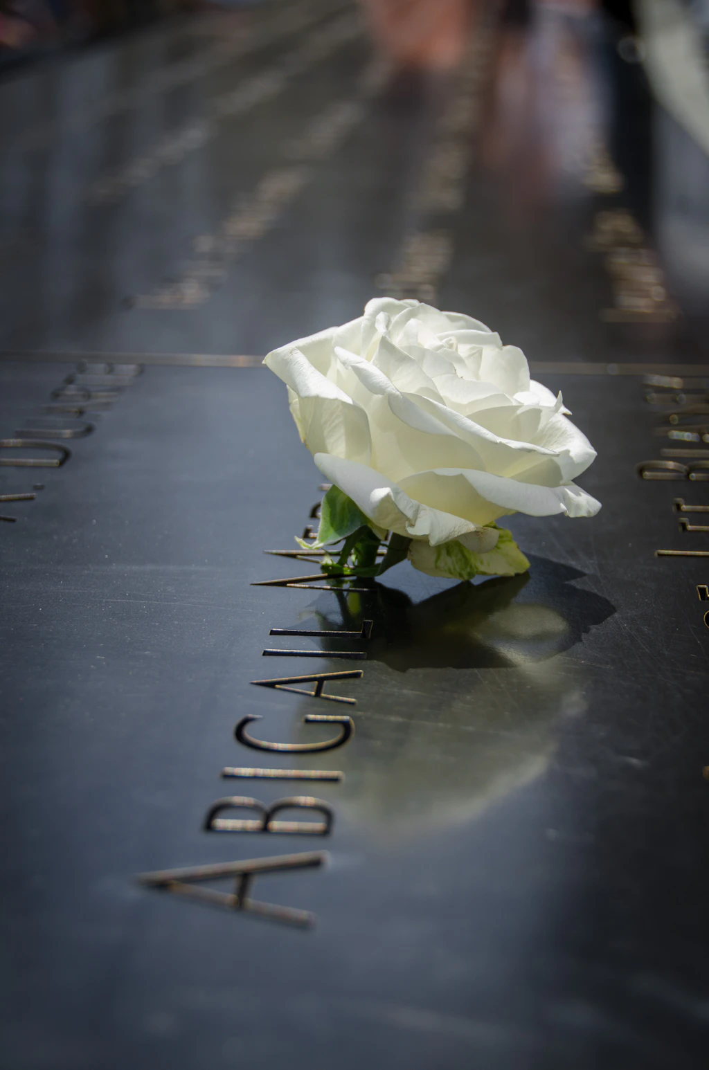 Detail of the National September 11 Memorial Detail of the National September 11 Memorial