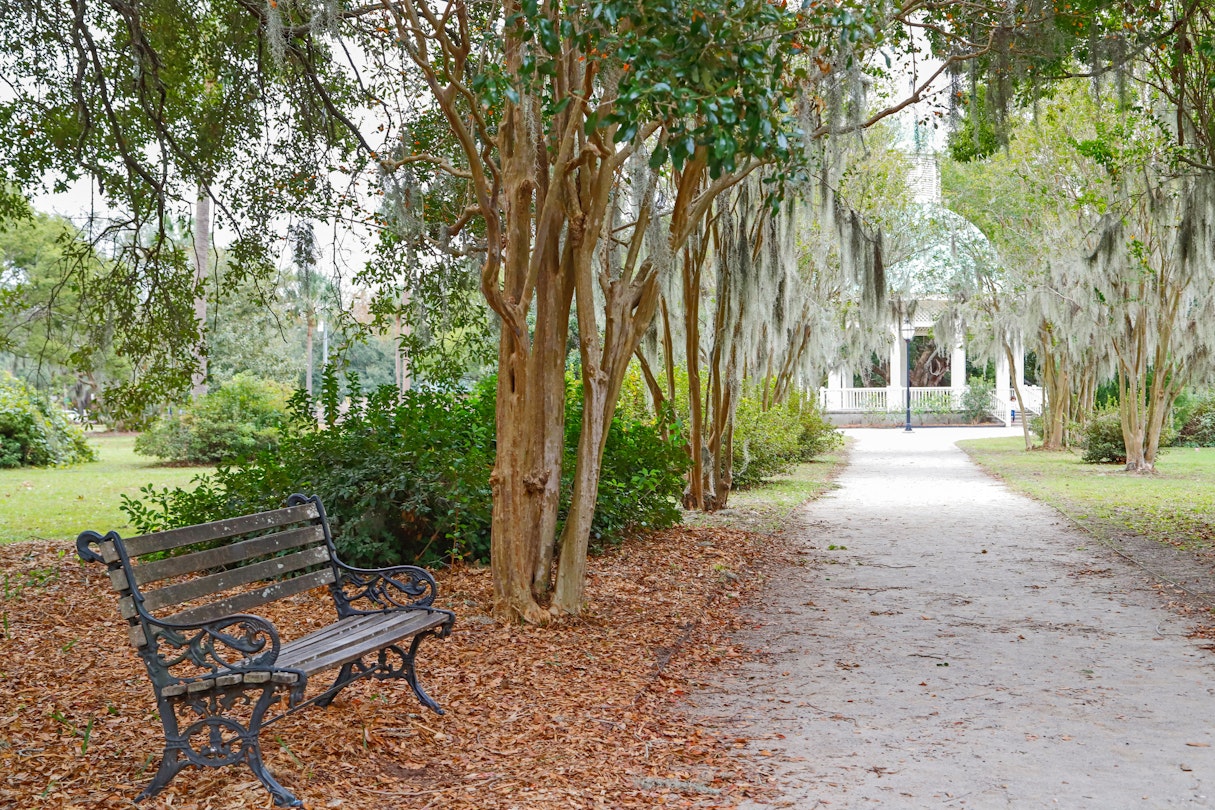 Bench by a footpath at the tranquil Hampton Park in Charleston, SC.