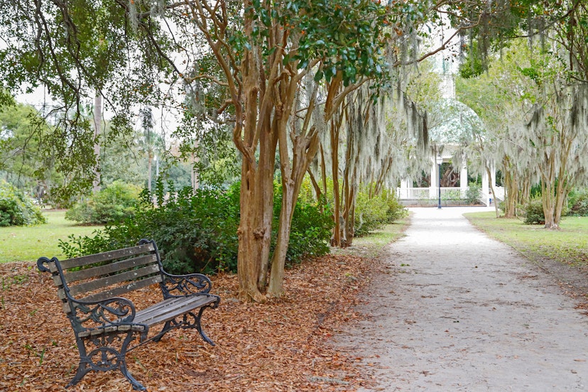 Bench by a footpath at the tranquil Hampton Park in Charleston, SC.