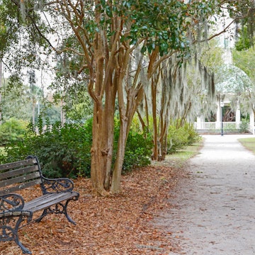 Bench by a footpath at the tranquil Hampton Park in Charleston, SC.